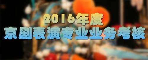 肏老肥穴国家京剧院2016年度京剧表演专业业务考...